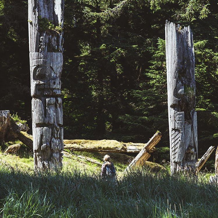 Two intricately carved totem poles nestled in tall, green grass.