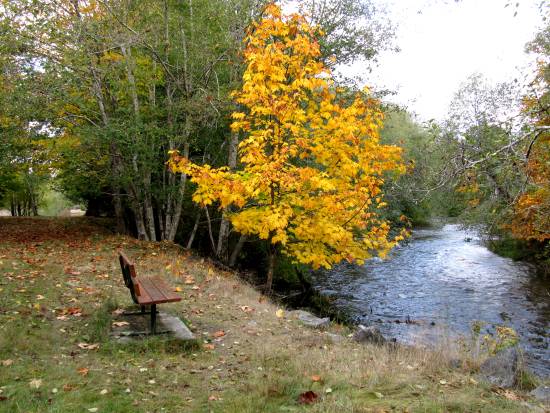 A riverside bench at the Little Qualicum River invites visitors to sit a while and appreciate nature.