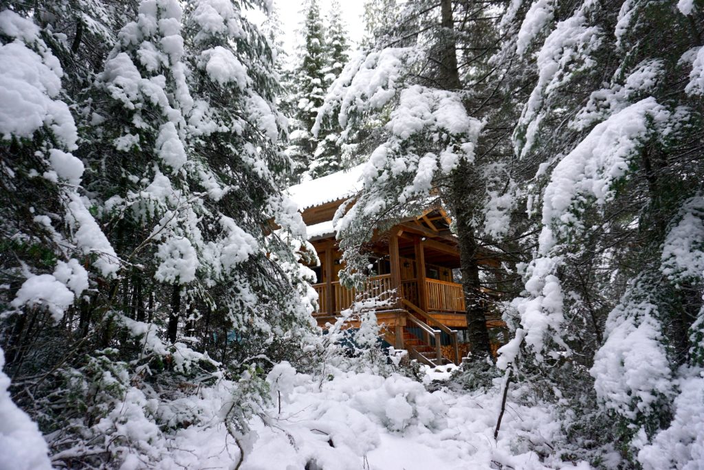 A snow-covered lodge is hidden deep in a dense forest.