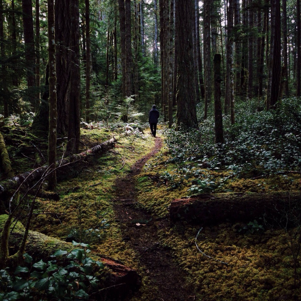 A man walks along a small trail that winds through a dense forest.