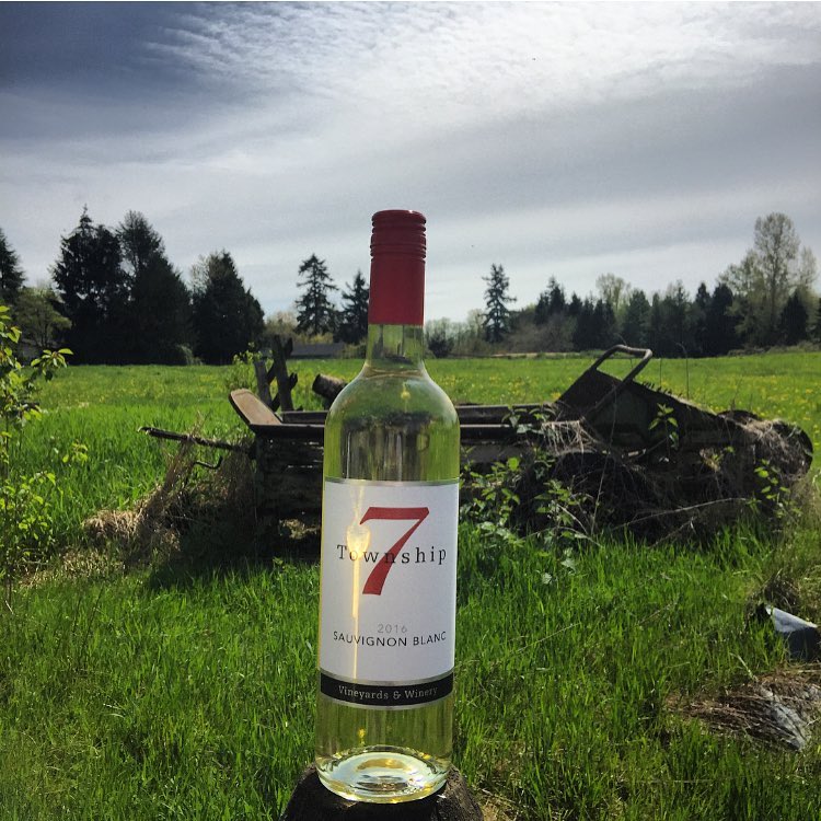 A bottle of Township 7 Sauvignon Blanc sits is a lush green meadow.