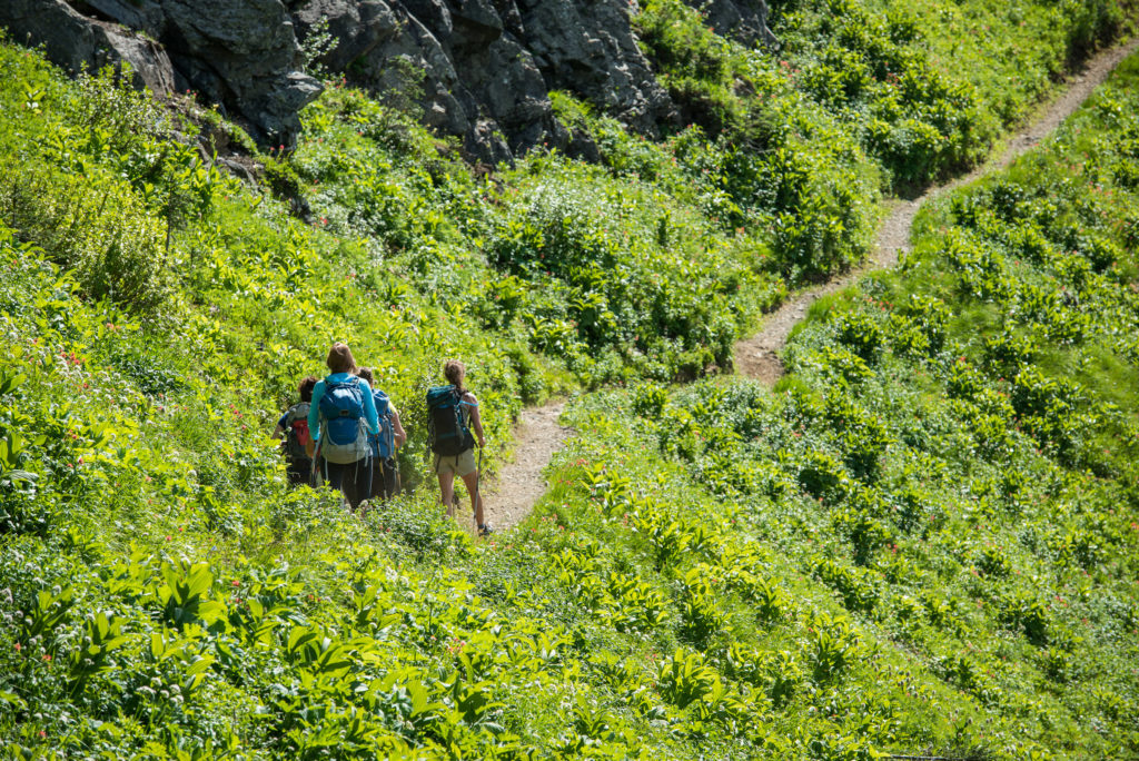 A group of hikers hike through a narrow trail with dense vegetation on both sides.
