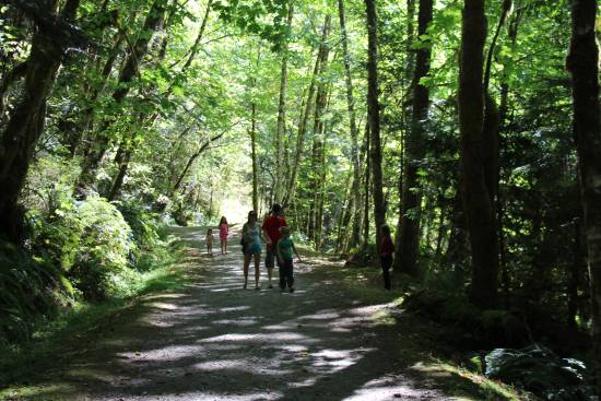 People walk along a wooded trail in the forest.