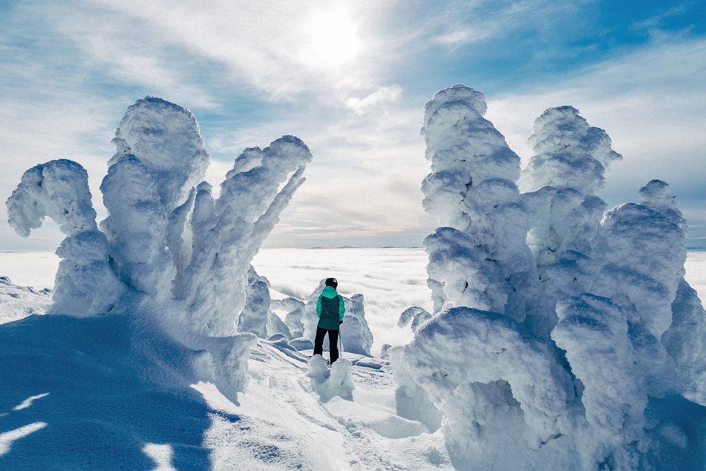 Big White Ski Resort’s hauntingly beautiful snow ghosts.