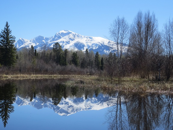 Starratt Sanctuary in Valemount British Columbia with the Canadian Rockies in the background, reflecting off of the water