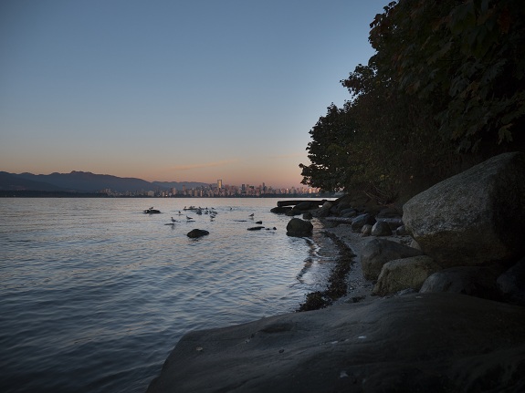 The pink skies of Vancouver at sunset from a beach in Stanley Park. 
