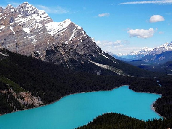 Turquoise Peyto Lake with Banff National Park's mountain peaks surrounding it and blue sky with white fluffy clouds above.
