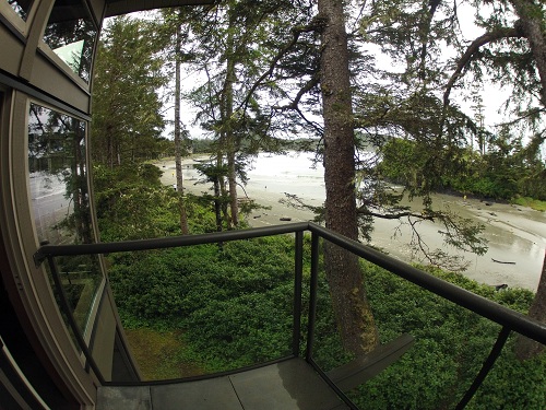 View of the trees and ocean at Pacific Sands Resort. 
