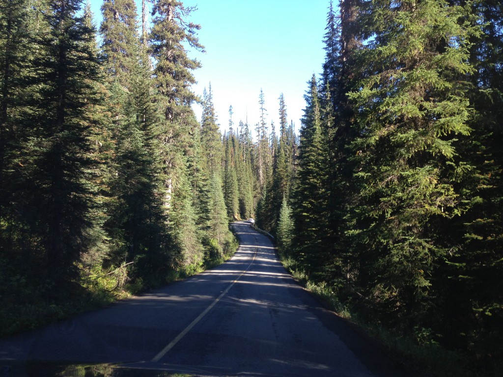 Driving through Yoho National Park, BC