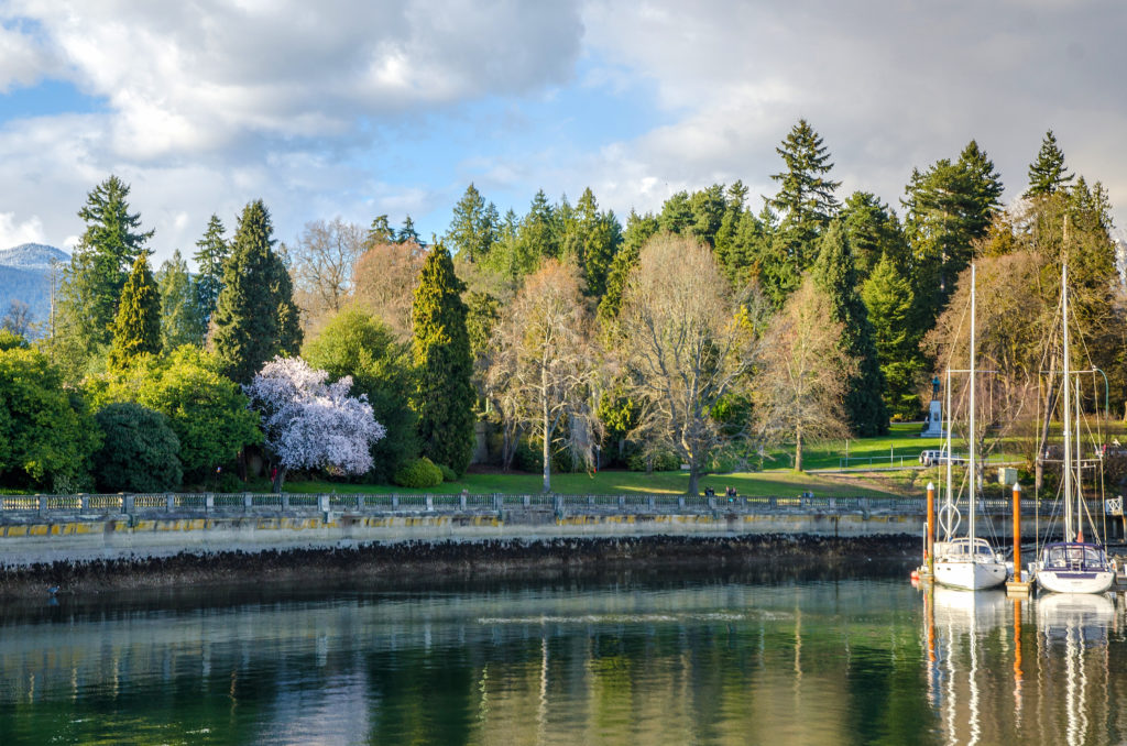 Stanley Park has more than 27 kilometres of forest trails.