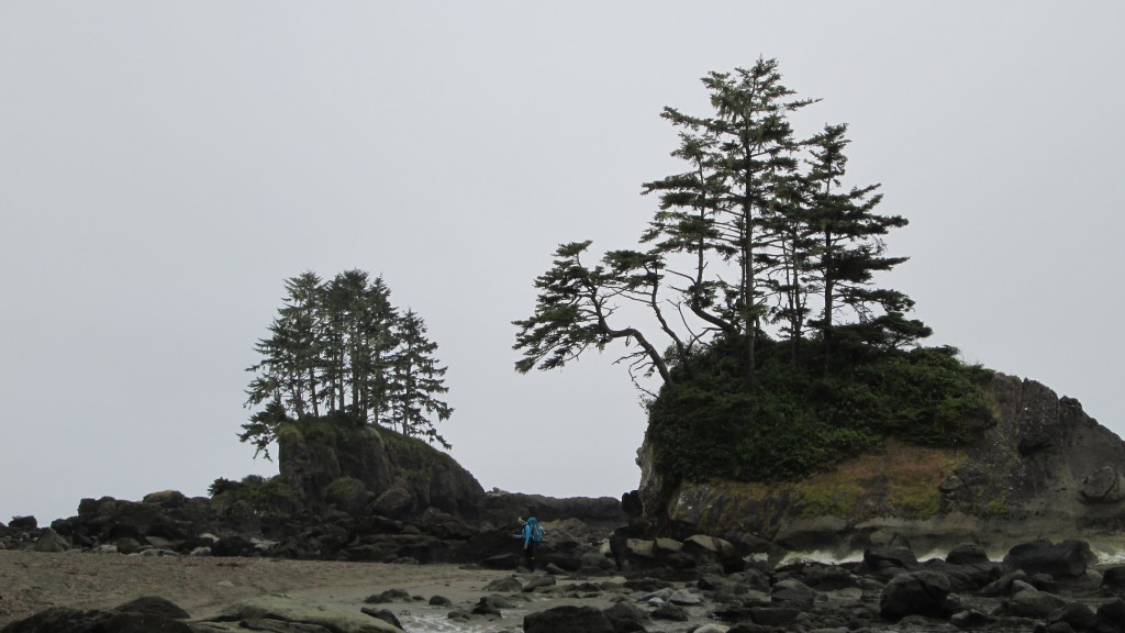Hiking the West Coast Trail on Vancouver Island, BC