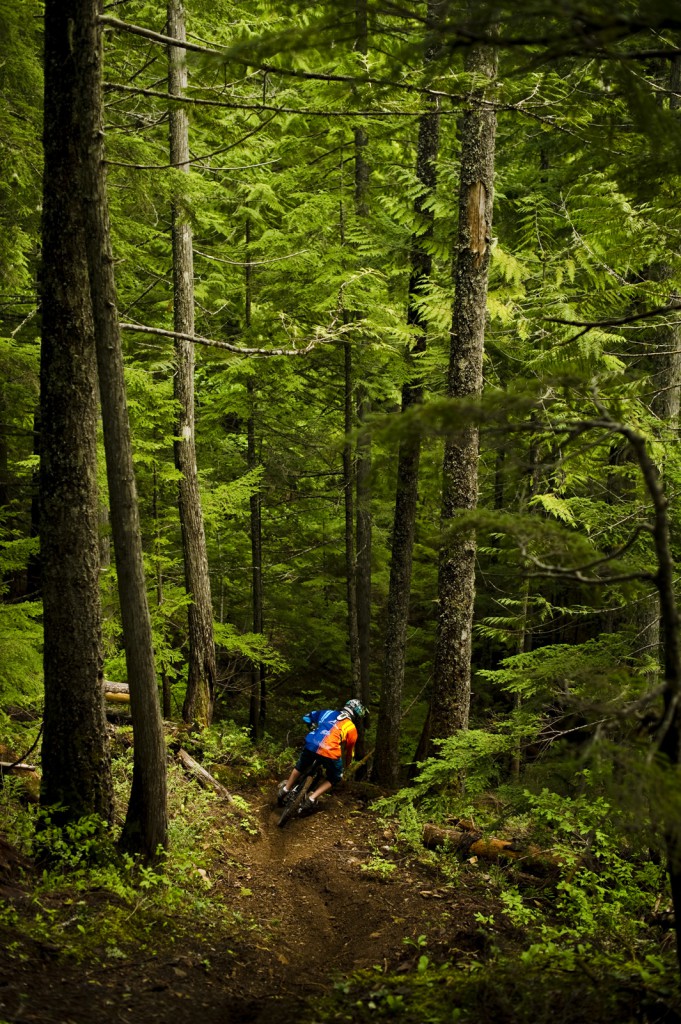 A mountain biker travels a difficult path in a dense forest.