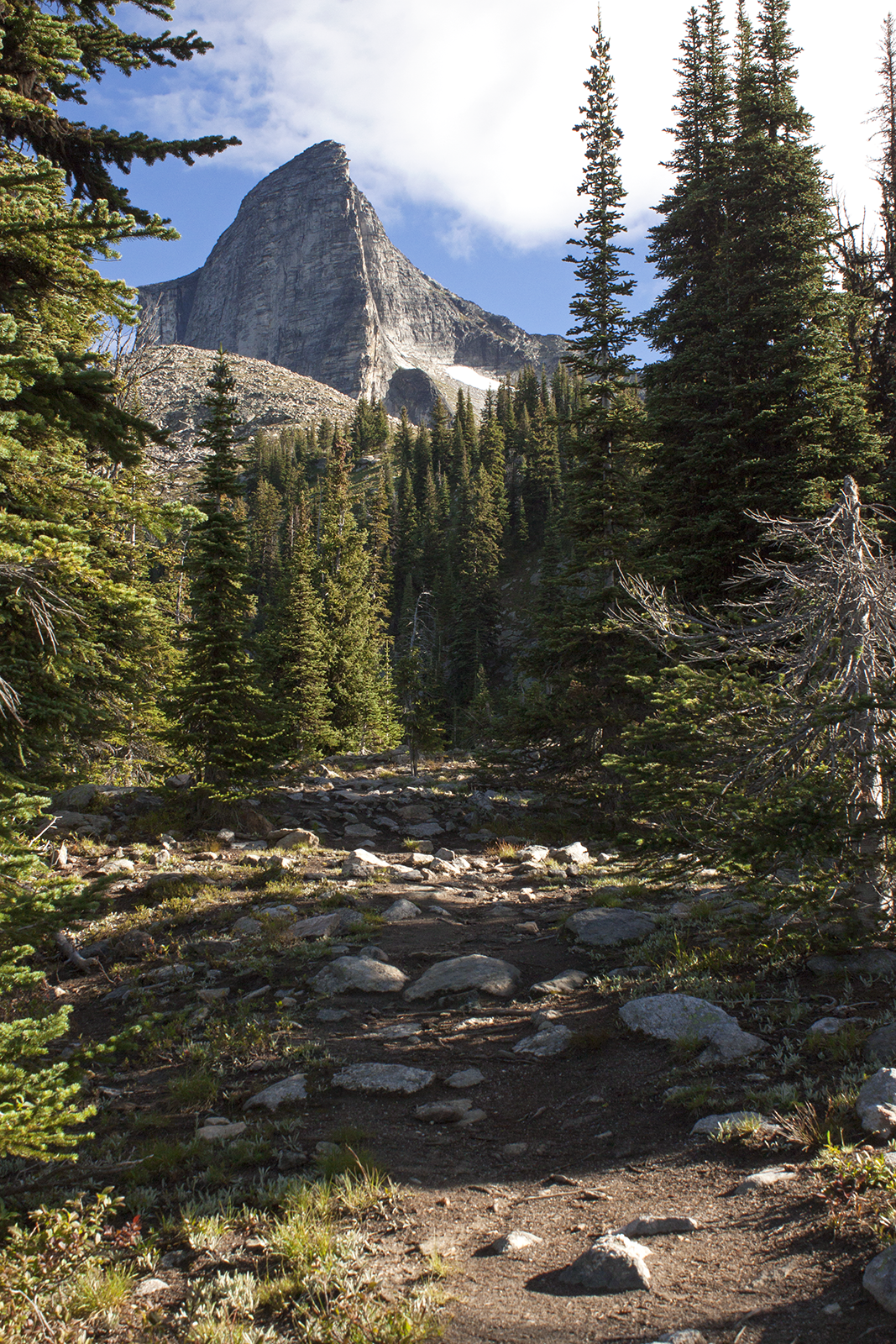 A rocky terrain leading to a large mountain.