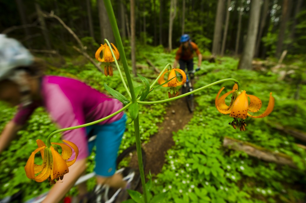 Two bikers travel on a path in a dense forest, past a blooming orange flower.