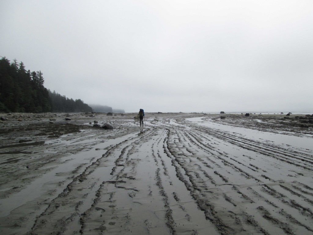 A hiker walks along a rugged beach on an overcast day.