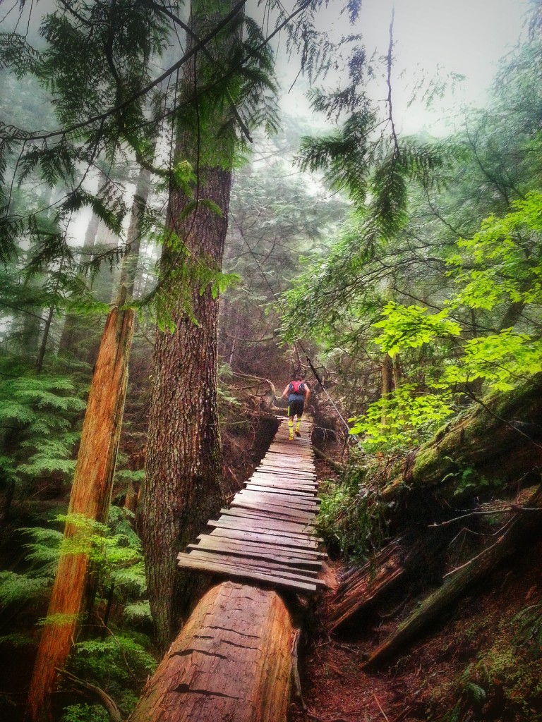 A man runs down a man-made wooden trail winds through a dense forest.