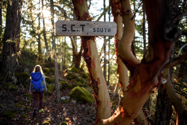 A woman hikes in a forest, passing a sign that reads “S.C.T. South.”