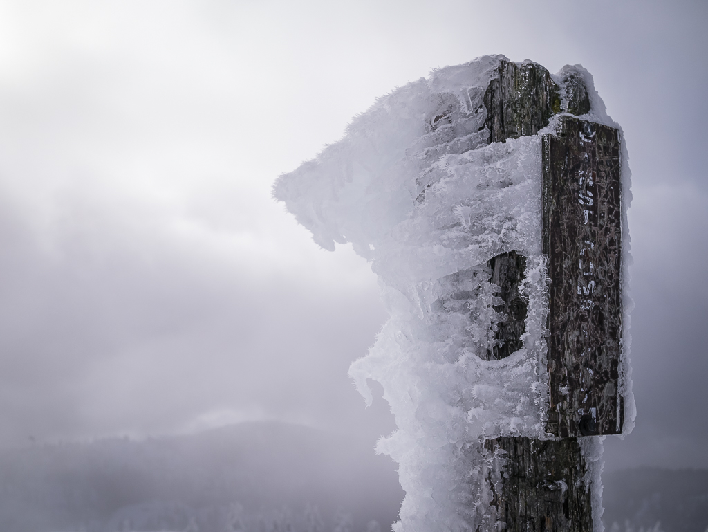 Rime encrusted summit pole on one of the sub-summits of Mount Seymour.