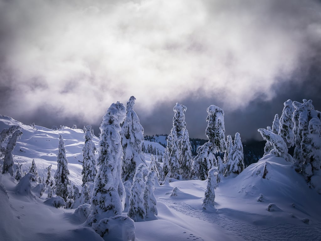The trees becoming snow statues while looking down from the second peak of Mount Seymour.