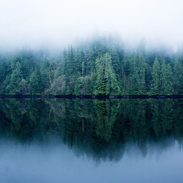 Reflections from Clayoquot Sound on the west coast of Vancouver Island. Photo: @achilts via Instagram