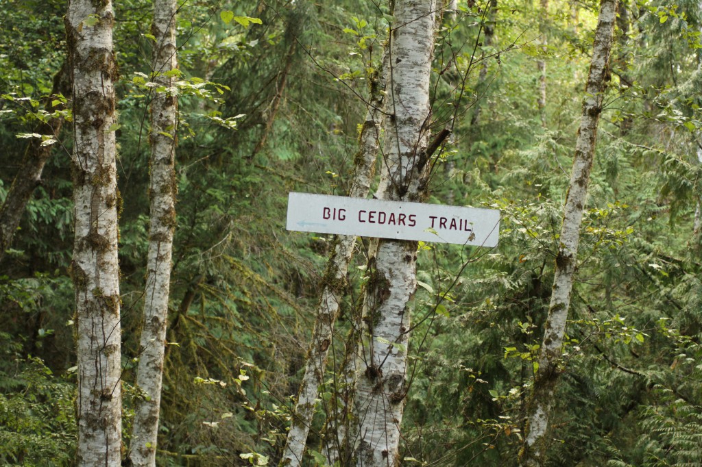 A tree with a sign that reads “Big Cedars Trail”.