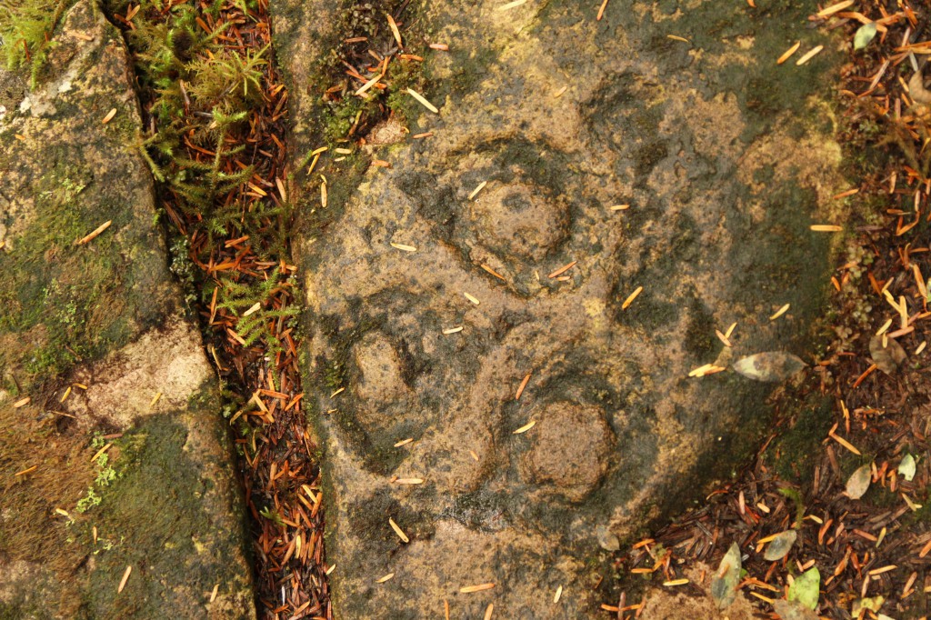 A stone on the forest floor with an intricate carving.