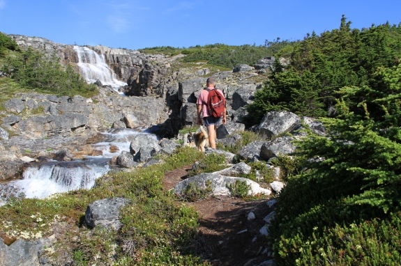 A hiker and his dog hike past a small waterfall in a rocky landscape.