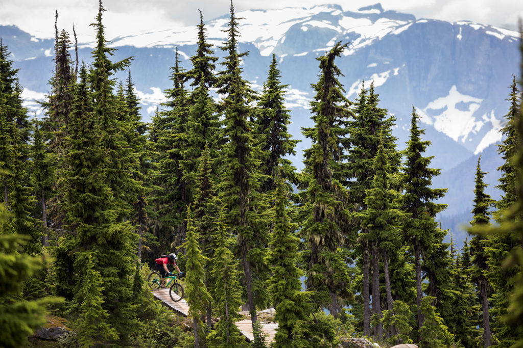 Mountain biker rides the Wizard trail at Mount Washington. 