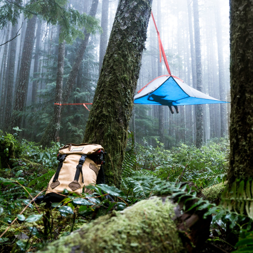 A camper relaxes in a tent suspended from a tree in the forest.