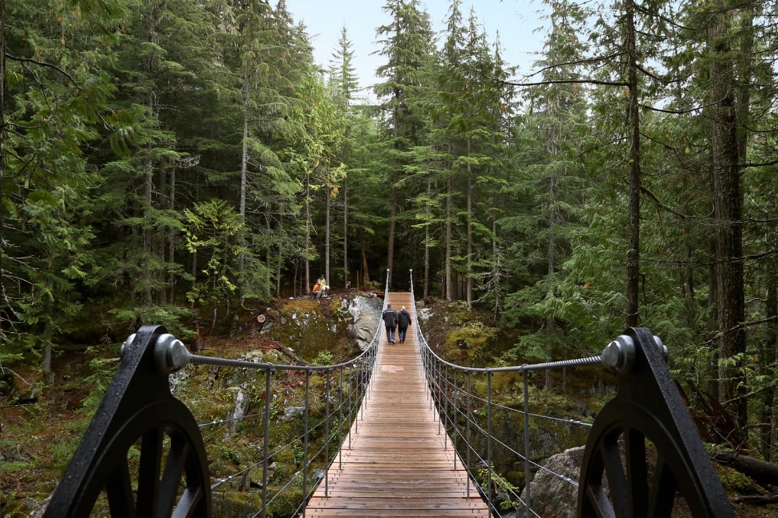Two people walking across a bridge into a forest.