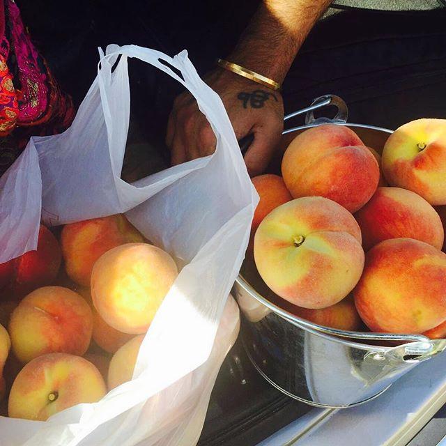 A plastic bag and stainless steel pot, both filled with fresh peaches.