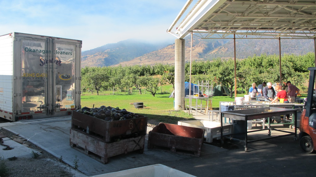 A group of volunteers help set up an outdoor event at a vineyard.