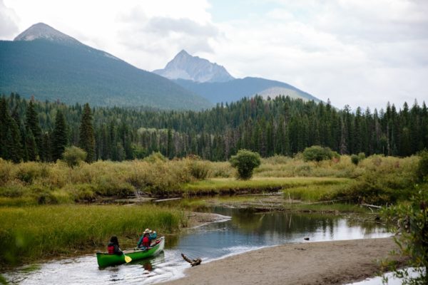 Canoers paddling through banks in Bowron Lake Provincial Park