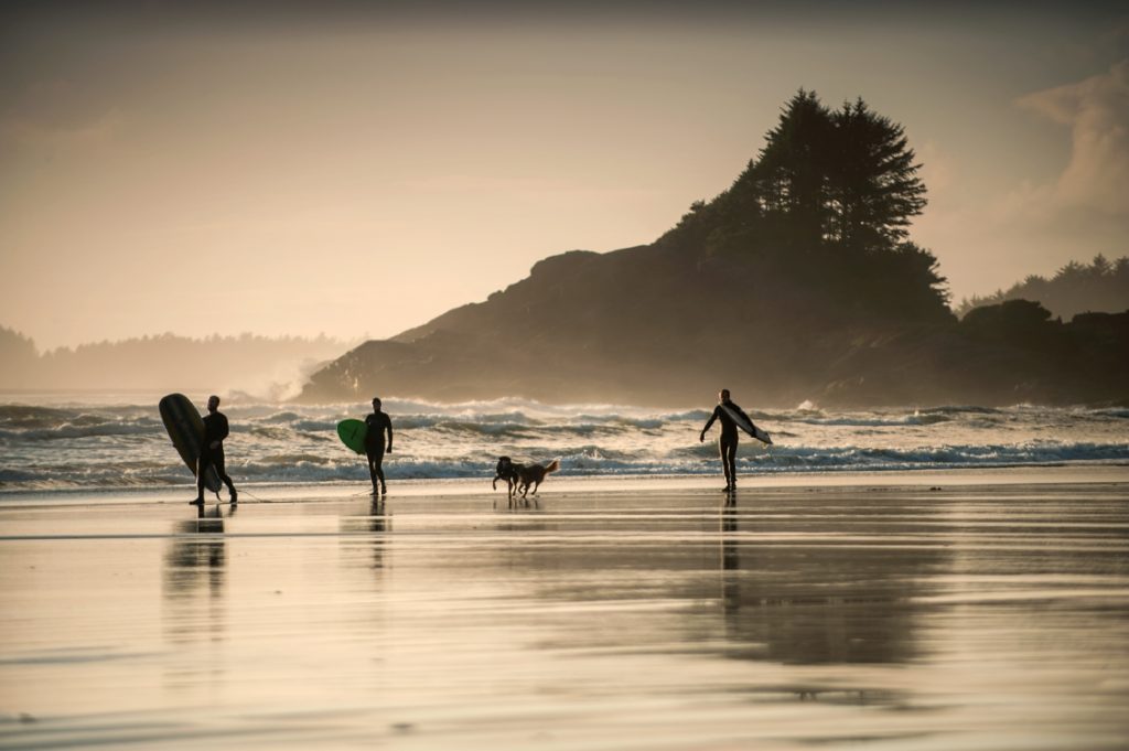 Surfing at Cox Bay in Tofino on Vancouver Island. 