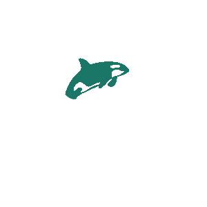 animated orca icon