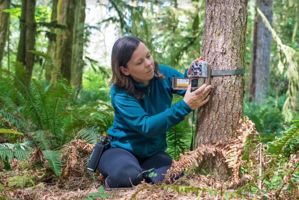 Working in the Great Bear Rainforest | Melanie Clapham