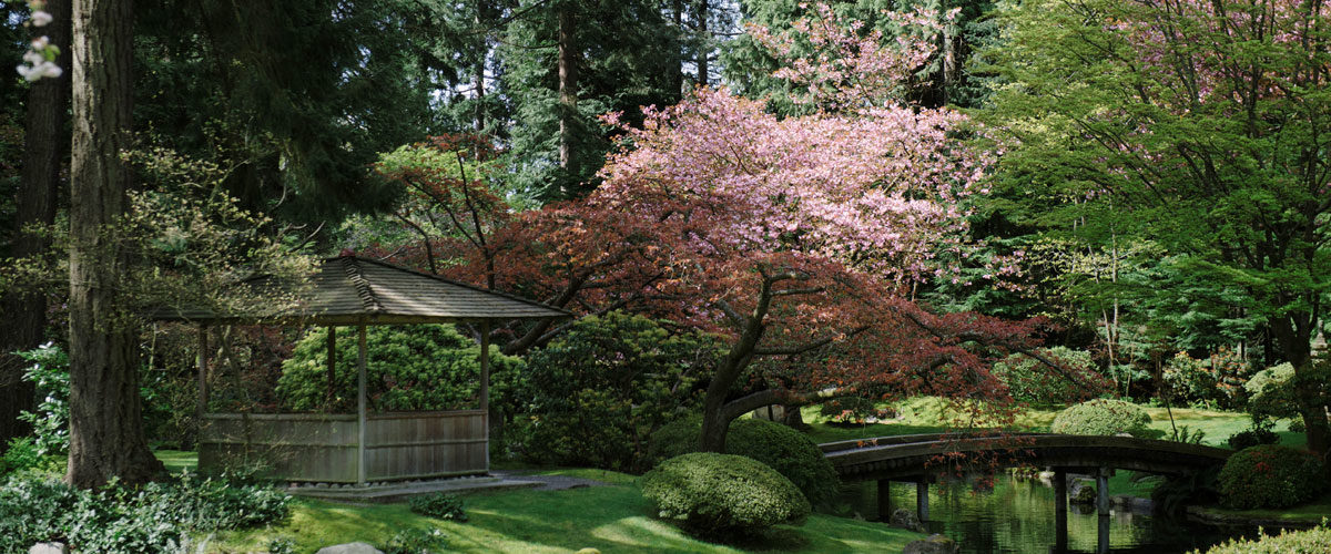 10 Must-Visit Gardens in Victoria and Vancouver: Butchart Gardens and Beyond 6