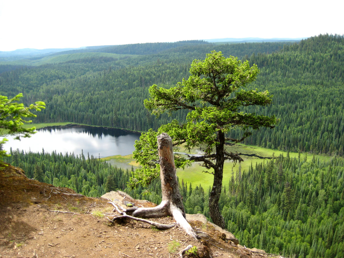 Hiking in Prince George: A Day Hike for Each Direction 9