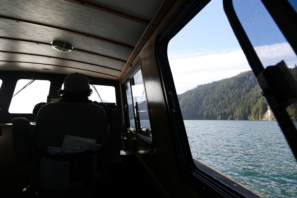 Interior of a boat as it sails past a dense forest.