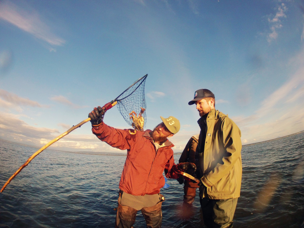 A man holds up a freshly caught crab in a small net.