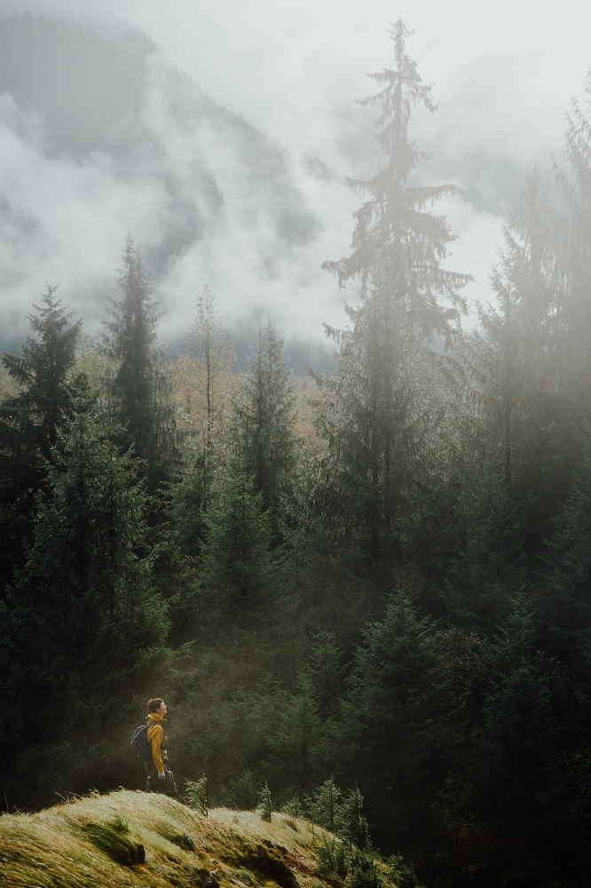 A man hikes through a misty, lush landscape.