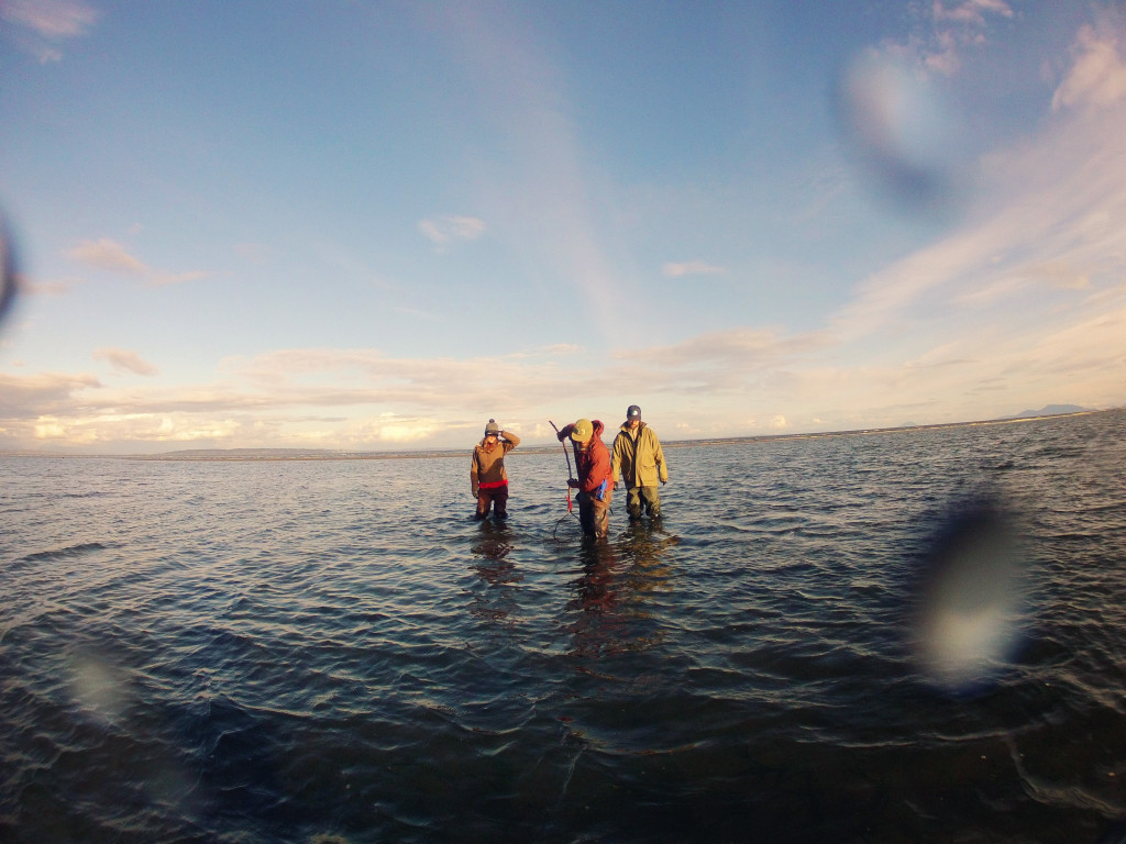 Three crab fishermen stand in the ocean, wrangling crabs.