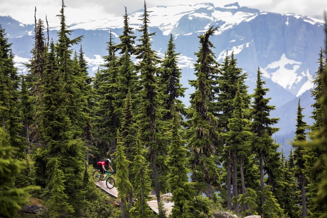 A mountain biker negotiates bridgework on a trail that winds through a dense forest with snow-capped mountains in the background.