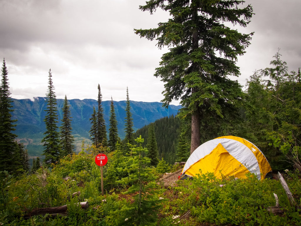 A yellow tent nestled in a dense forest.