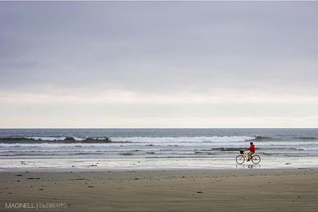 A cyclist pedals across a remote beach landscape.