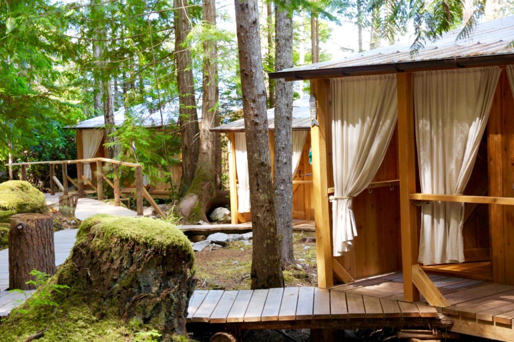Eco-friendly cabanas nestled in a dense forest.
