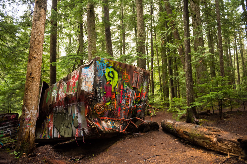 A graffiti-covered train wreck in the middle of a dense forest.