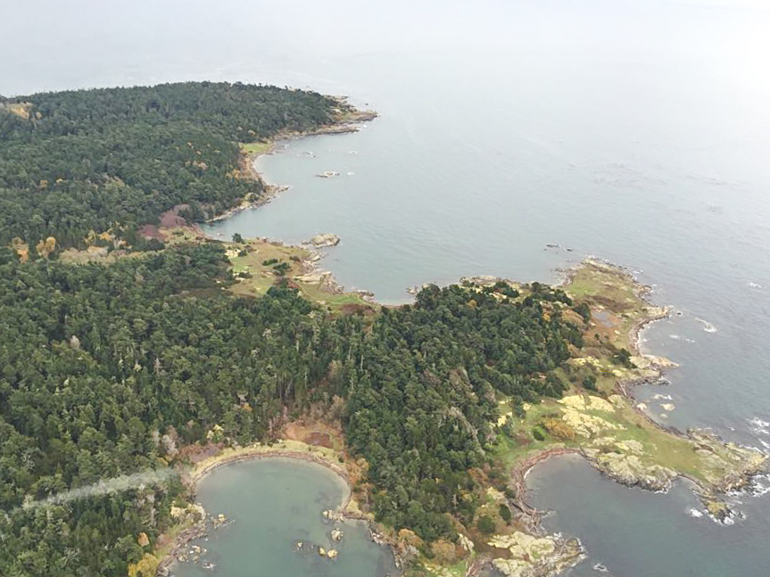 A bird’s eye view of Vancouver Island’s coastline from a float plane.