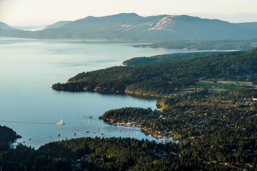 Aerial view of a bustling harbour. Numerous boats dot the harbour, a ferry approaches. The land is covered in green trees and mountains in the distance. 