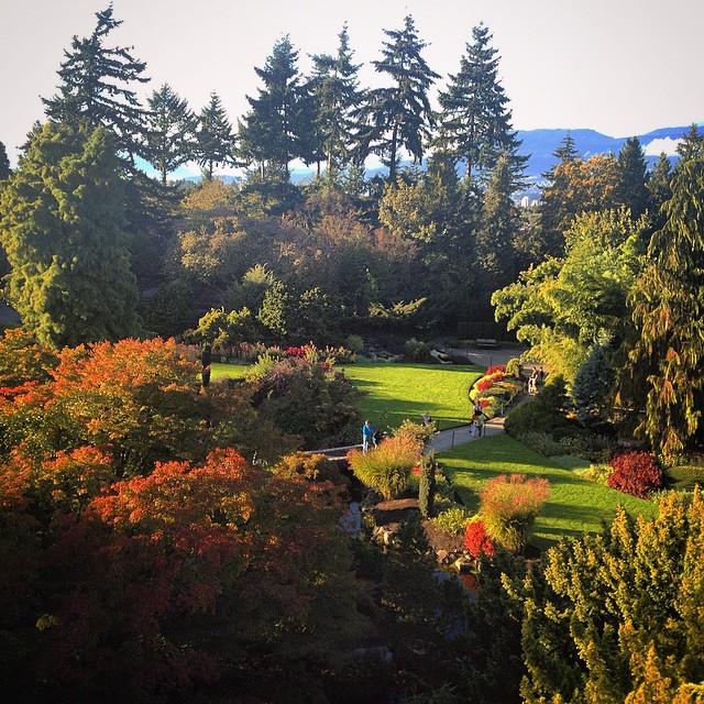 An abundance of fall foliage at Queen Elizabeth Park in Vancouver.